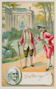 Voltaire, Fransız Aydınlanma yazarı, tarihçi ve filozof (1694-1778) by French School
