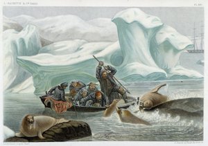 Mors avı - Alfred Fredol, Hachette, Paris tarafından “Le monde de la mer”de by French School