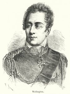 Wellington (gravür) by French School