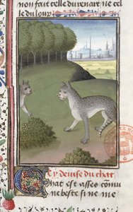 Gaston Phebus de Foix tarafından Livre de la Chasse