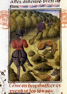 Kurt Avı- “” Gaston Phoebus