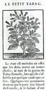 le Petit Tabac, Jean Le Royer de Prade