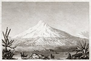 Chimborazo yanardağı. (gravür, yaklaşık 1840)