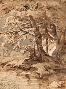 ağaç çalışması by Friedrich August Mathias Gauermann