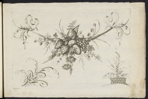 Festool van vruchten, bladeren en bloemen Farklı Yeni Çiçekler ve Meyveler Festoon (seri başlığı) by Friedrich Jacob Morisson