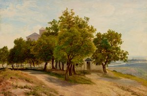Viyana manzaralı Kahlenberg