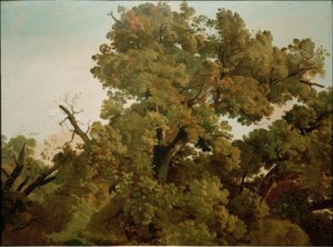  by Friedrich Nerly