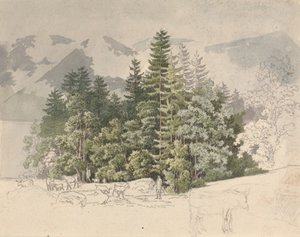 Alp Manzarası (grafit üzerine guaj)
