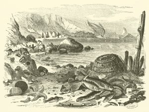 Balık tutma (gravür) by Friedrich Specht