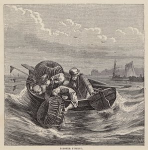 Istakoz Balıkçılığı (renkli gravür) by Friedrich Specht