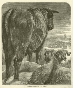 Bir Yahudi Mezarlığı (gravür) by Friedrich Wilhelm Keyl