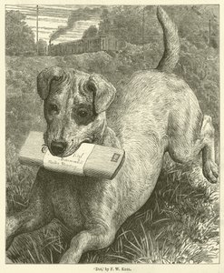 Köpek (gravür)
