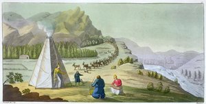 Herding Ren Geyiği, Lapland, Jules Ferrario tarafından 