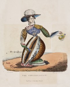 Conchologist, c.1831