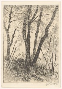 Uzun otların arasında ağaçlar by G. van der Mey (signed by artist)