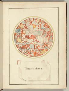  by Gaetano Piccini
