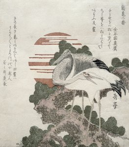 Turna (Tsuru), Turnalar ve Kaplumbağalar serisi 2 tasarımından, 1818-30 (tahta oyma)