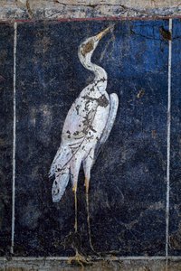 Roma duvar resimleri by Gallo-Roman