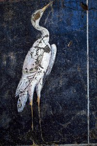 Roma duvar resimleri by Gallo-Roman