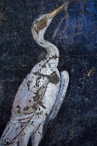 Roma duvar resimleri by Gallo-Roman