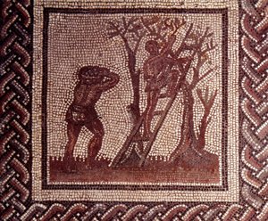 Gallo Roman Art: rustik bir takvimi temsil eden mozaik döşeme. Zeytin toplama sahnesi. JC