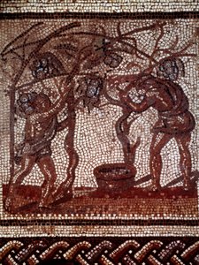 Galloromain sanatı: sonbahar: elma toplama ve hasat. Saint Romain en Gal