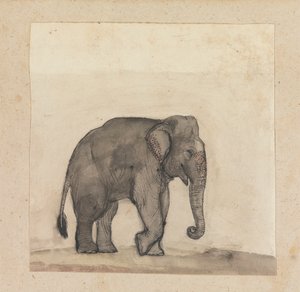 Fil by Gangaram Chintaman Tambat