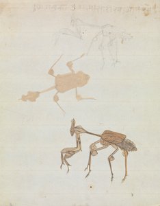 Peygamber Devesi