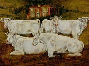 Charolais Bulls, Dippenhall, Farnham