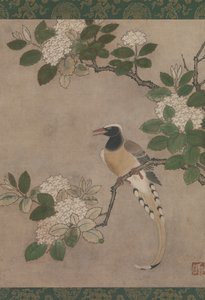 Viburnum Dalında Saksağan, 16. yüzyılın başlarında. by Genga