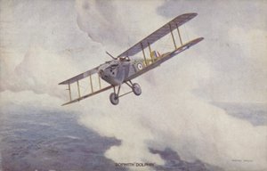 Sopwith Dolphin savaş uçağı (renkli taş) by Geoffrey (after) Watson