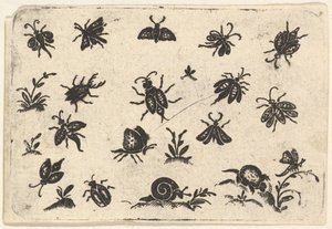 Küçük Böcek ve Bitki Motifleri, 1596. by Georg Herman