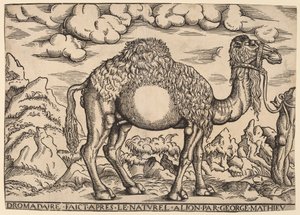 bir höyük by Georg Mattheus