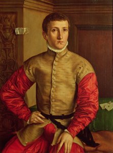 Genç Bir Adamın Portresi, 1544