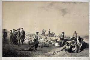 Büyük Dük Nikolai Nikolaievich ve Michael Nicolaevich, 12 Şubat 1855