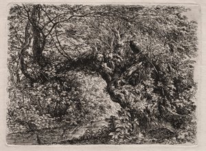 Bir Deredeki Yaşlı Söğüt by Georg von Dillis