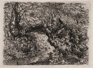 Deredeki Yaşlı Söğüt, 1794. by Georg von Dillis