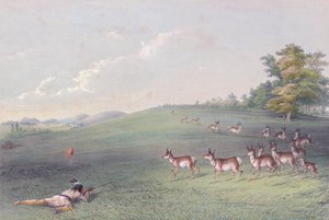 George Catlin'in Kuzey Amerika Kızılderili Portföyü by George (after) Catlin