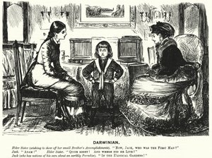 Yumruk karikatürü: (gravür)