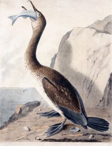 Karabatak (ilk yılın), c.1841 (el boyaması gravür) by George (after) Shield