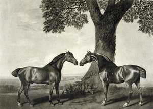 G.T. tarafından kazınmış İki Avcı Stubbs (bap.1748-c.1815) (lito) (ayrıca bkz. 266802)