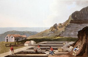 Şap İşleri, Robert Havell (1769-1832) 1814 (renkli taş) tarafından oyulmuş 