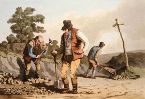 Robert Havell (1769-1832) 1814 (renkli lito) tarafından oyulmuş 