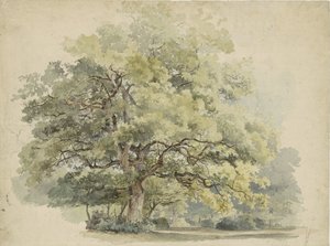 Ağaç çalışması by George Andries Roth