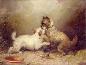 Çekişmenin Kemiği