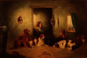 mutfak köpekleri