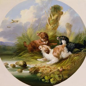 Three Spaniels Flushing Mallard (tuval üzerine yağlı boya) by George Armfield