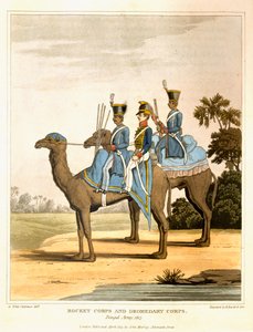 Roket Kolordusu ve Dromedary Kolordusu, Bengal Ordusu 1817, 