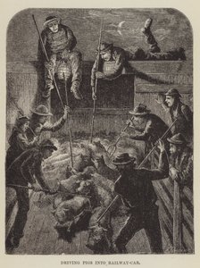 Domuzları Demiryolu Arabasına Sürmek by George Augustus Sala