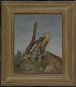 Kayalar ve Dallar Çalışması, c.1795 (kağıt üzerine yağlı boya) by George Augustus Wallis
